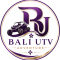 Bali UTV Adventure